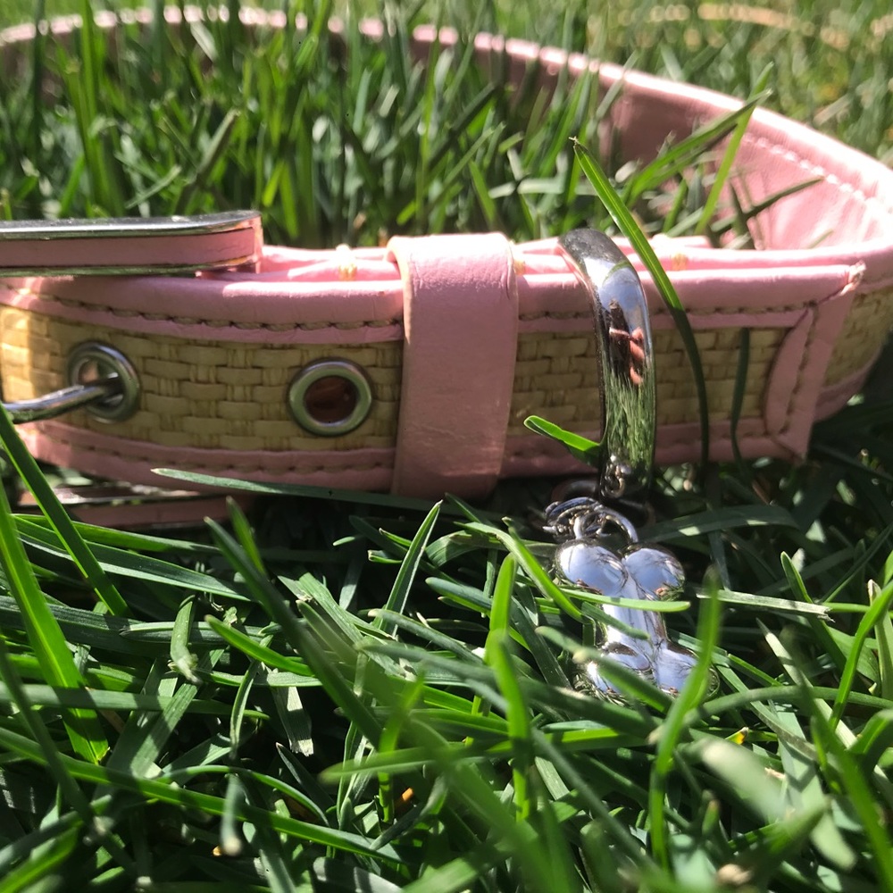 ChromeBones Pink Dog Collar